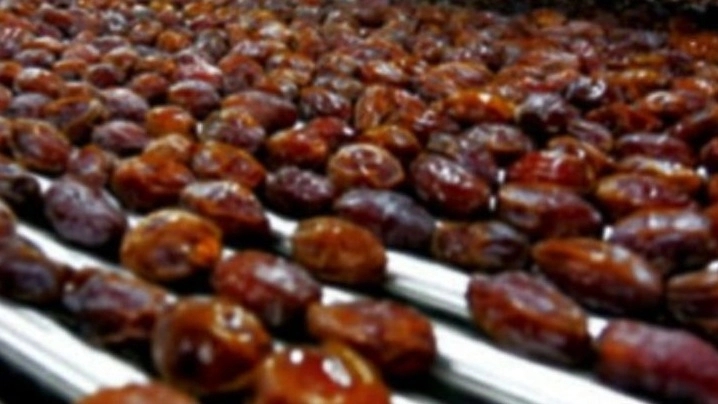خط تولید خرمای شکلاتی مغزدار