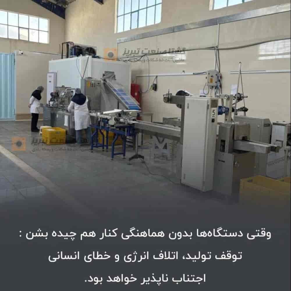 1746279443530.webp