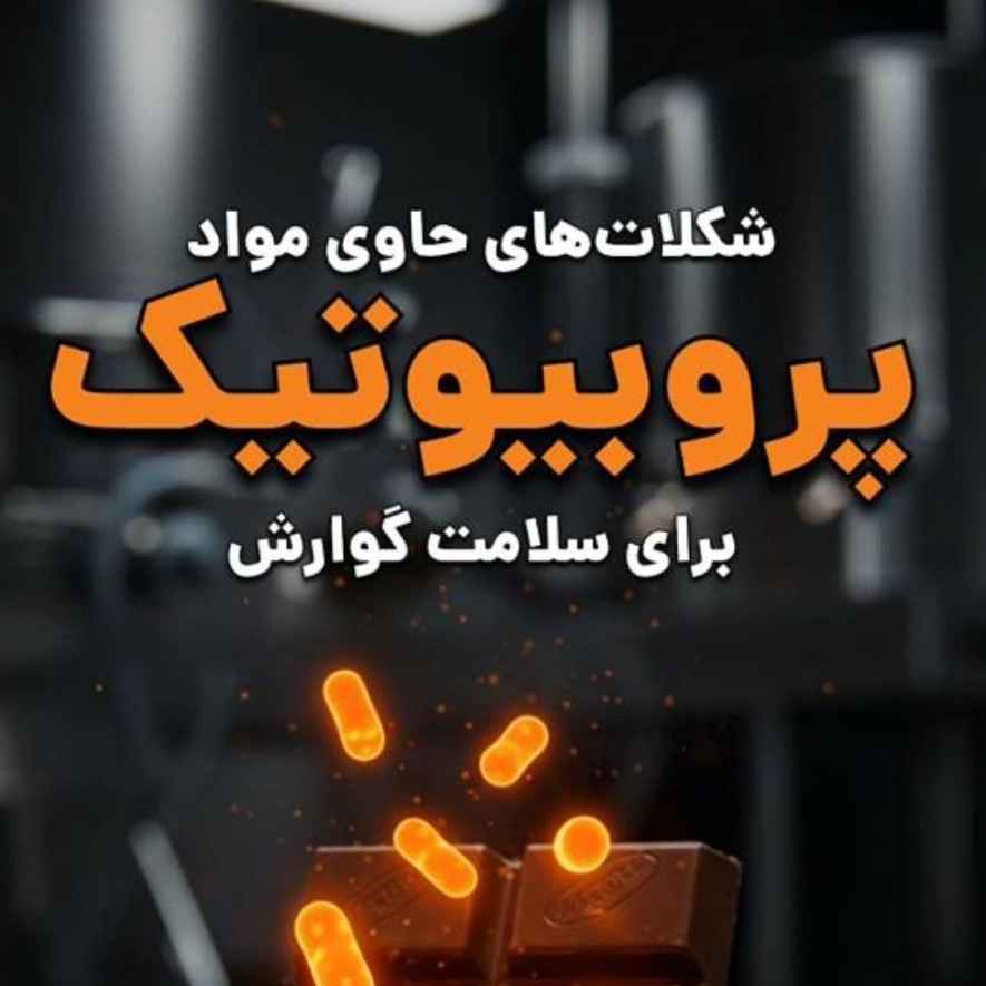 1748882226526.webp 1748882226526.webp